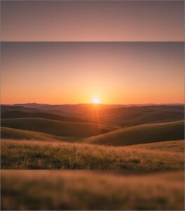 cremation services in Charlotte, NC