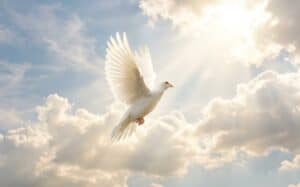 White dove flying through sunlit clouds symbolizing peace for cremation services in Salisbury, NC